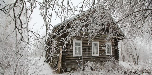 р-н Шекснинский д Федотово Сиземское с/пос фото