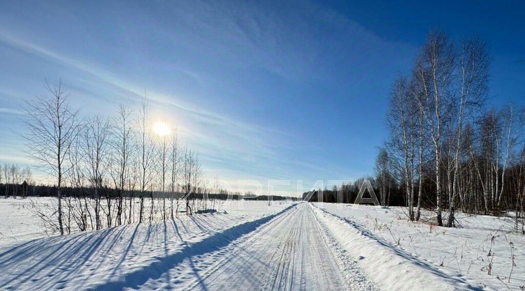 земля р-н Тюменский д Чаплык пер Центральный фото 1