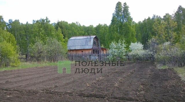 земля р-н Кетовский д Лукино снт Раздолье-4 ул. Георгиновая фото