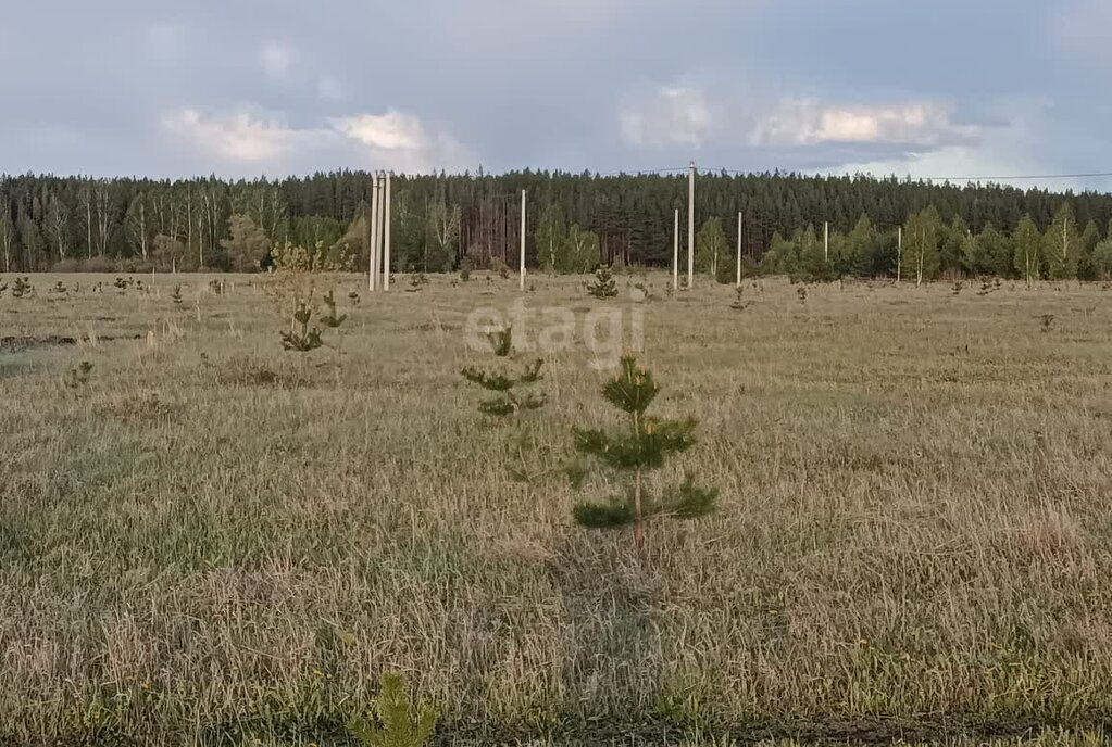 земля Поспеловское сельское поселение, посёлок Луговой фото 8