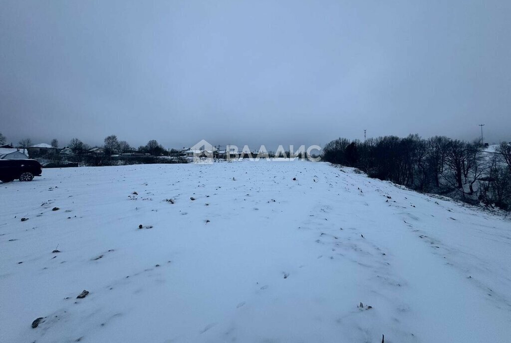 земля городской округ Наро-Фоминский д Елагино фото 29