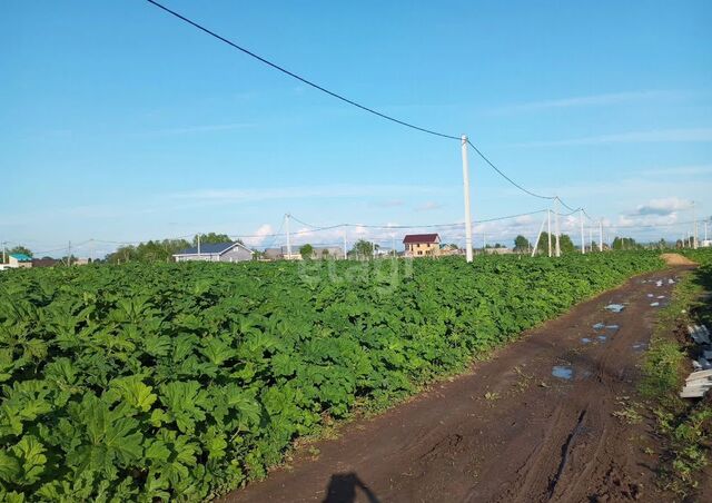 земля ул Грибная муниципальное образование Выльгорт фото