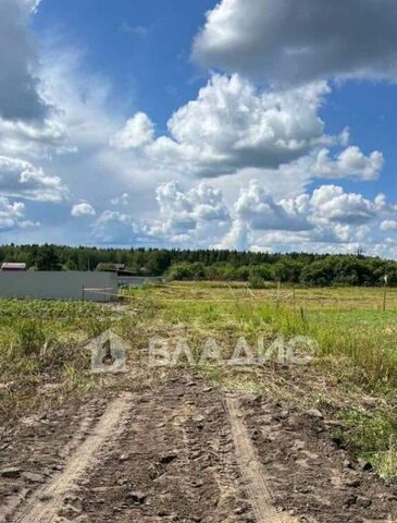 д Вашутино ул Лесная 1 муниципальное образование, Анопино фото