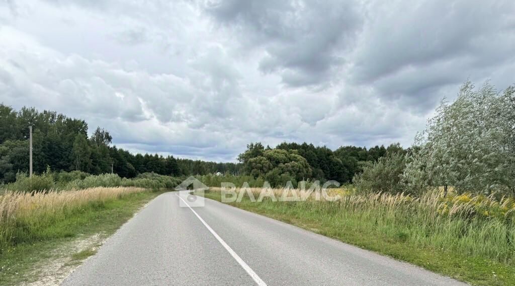 земля г Владимир д Злобино р-н Октябрьский фото 8