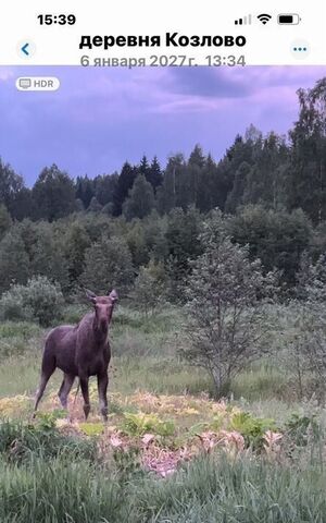 земля д Татаринки тер Пойма Рузы фото