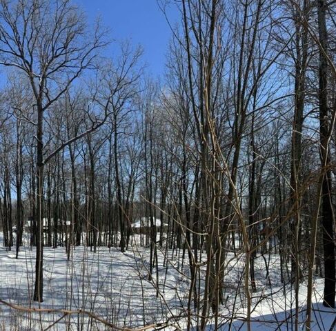 земля р-н Первомайский ул Ленинский Мехлесхоз фото