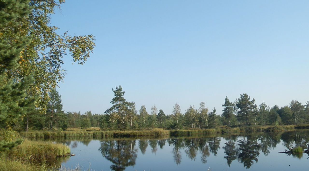 земля р-н Всеволожский Рахьинское городское поселение фото 8