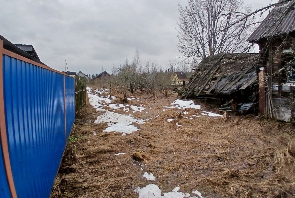 земля р-н Тихвинский д Лазаревичи Тихвинское городское поселение фото 6