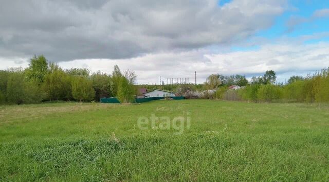 Кстовский муниципальный округ, д. Новая фото