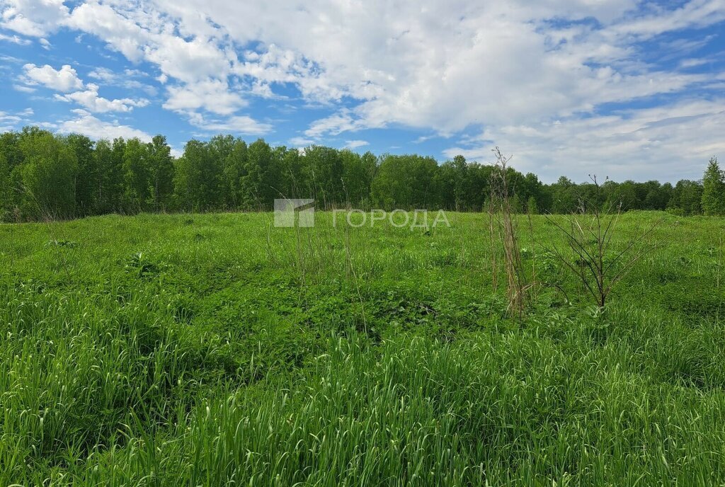 дом г Новосибирск метро Площадь Гарина-Михайловского ул 2-я Школьная фото 9