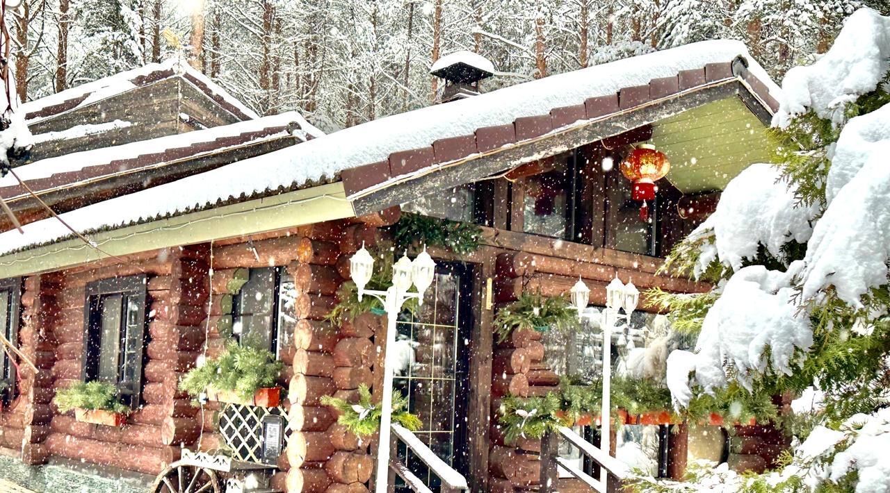 дом городской округ Дмитровский Плес садовое товарищество, 95 фото 1