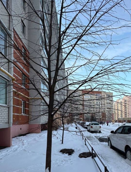 квартира г Пенза р-н Октябрьский ул Ладожская 150 фото 18