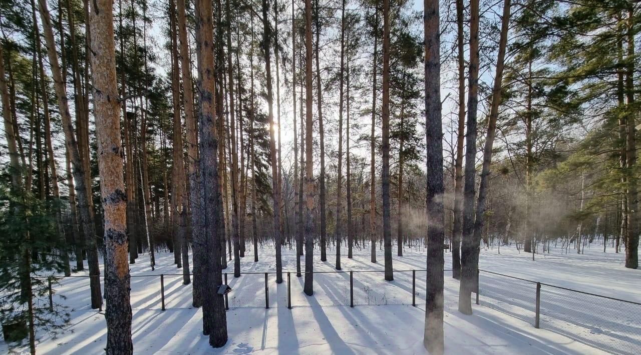 дом г Уфа р-н Демский тер кордон Черноозерский 3 фото 34