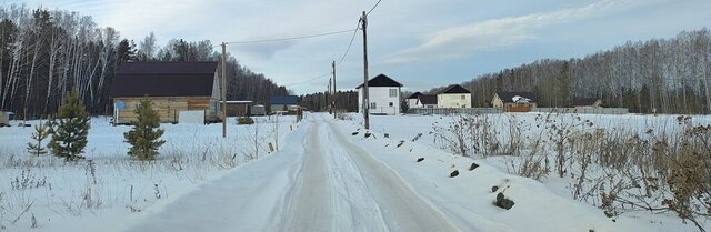 Ботаническая, посёлок Октябрьский, СНТ Василек фото