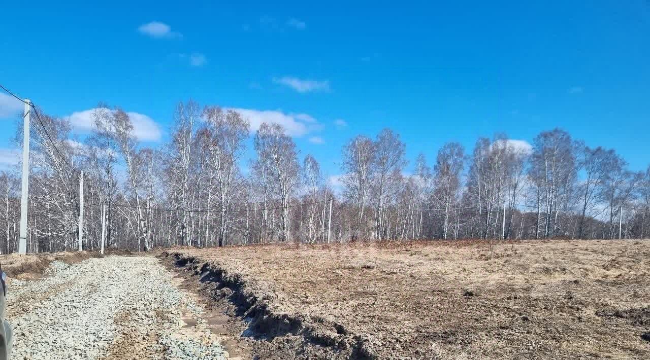 земля р-н Новосибирский с Гусиный Брод Раздольненский сельсовет, Идиллия мкр фото 4