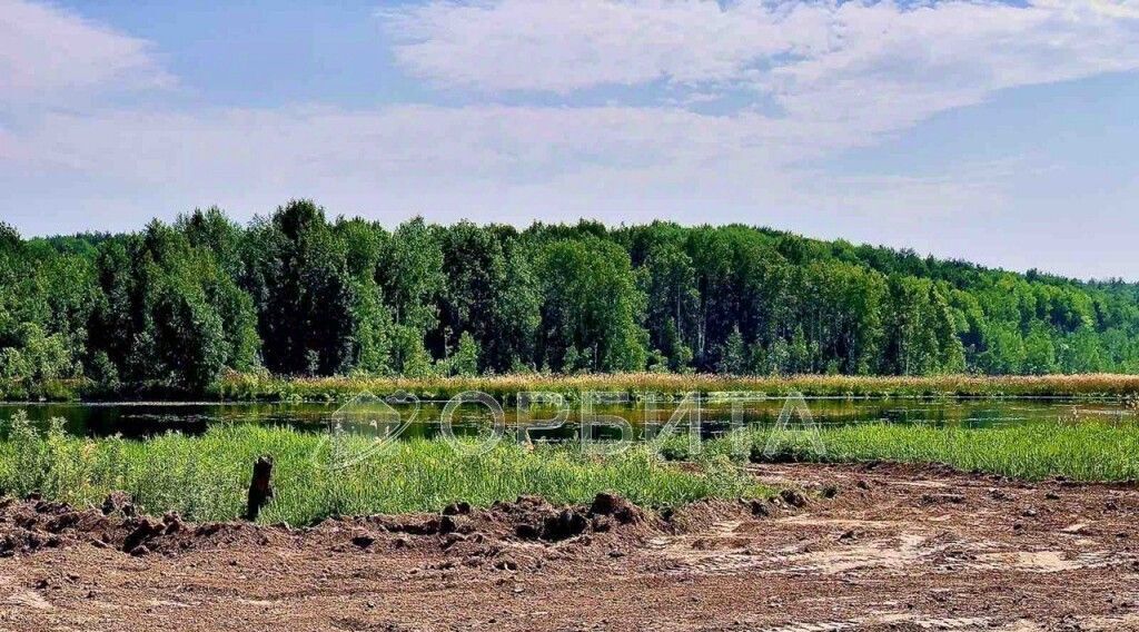 земля р-н Тюменский с Кулига ул Транспортная фото 3