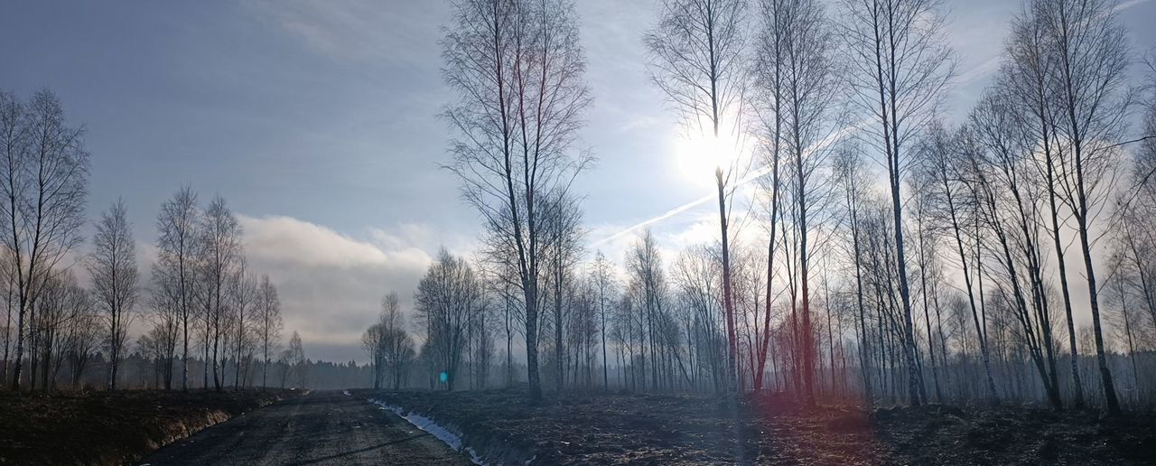 земля городской округ Клин д Покров 58 км, Клин, Ленинградское шоссе фото 5