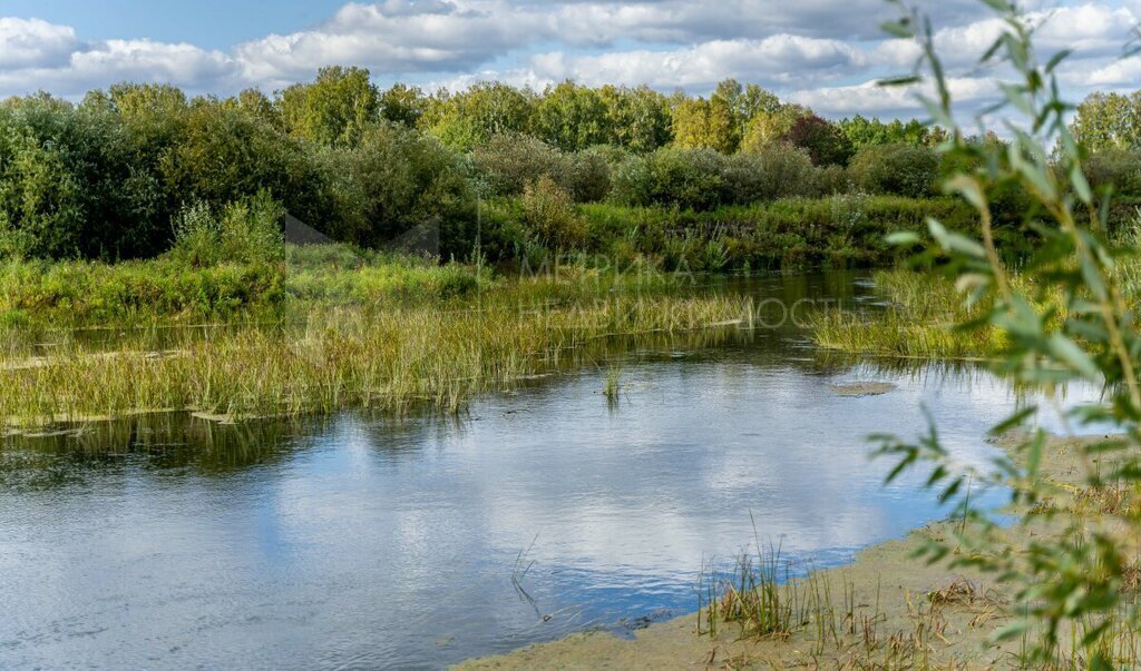 земля р-н Тюменский с Борки Каскаринское сельское поселение фото 3