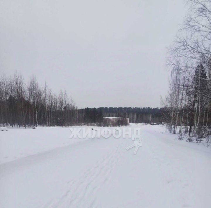 земля г Томск р-н Октябрьский тракт Иркутский фото 2