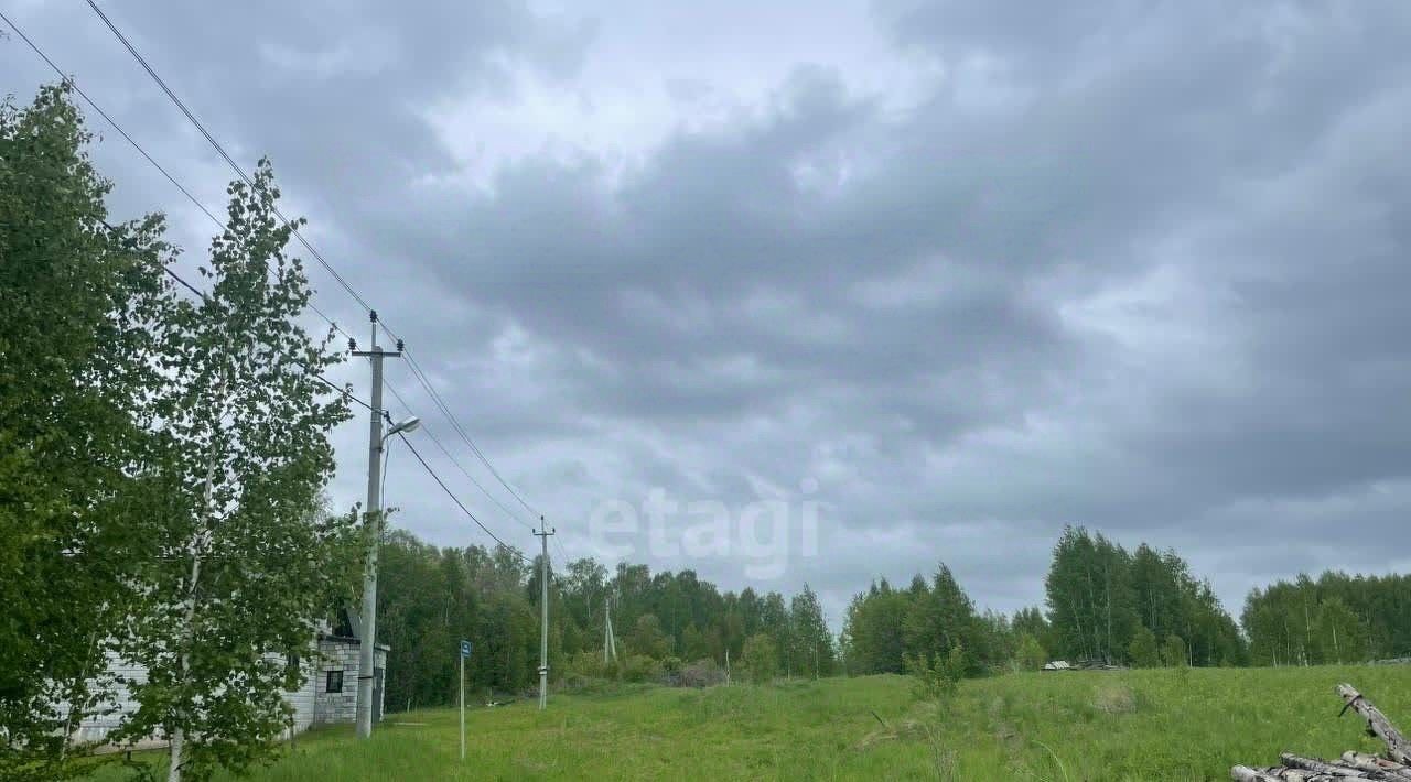 земля р-н Искитимский снт Синегорье Морозовский сельсовет, ДНТ, ул. Болдырева фото 3