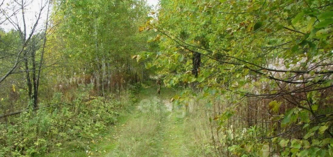 земля р-н Новосибирский Новолуговской сельсовет, Инские Плесы СНТ фото 6