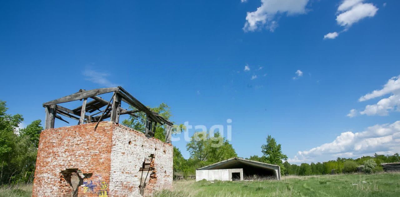 земля р-н Искитимский с Сосновка сельсовет, Совхозный фото 7