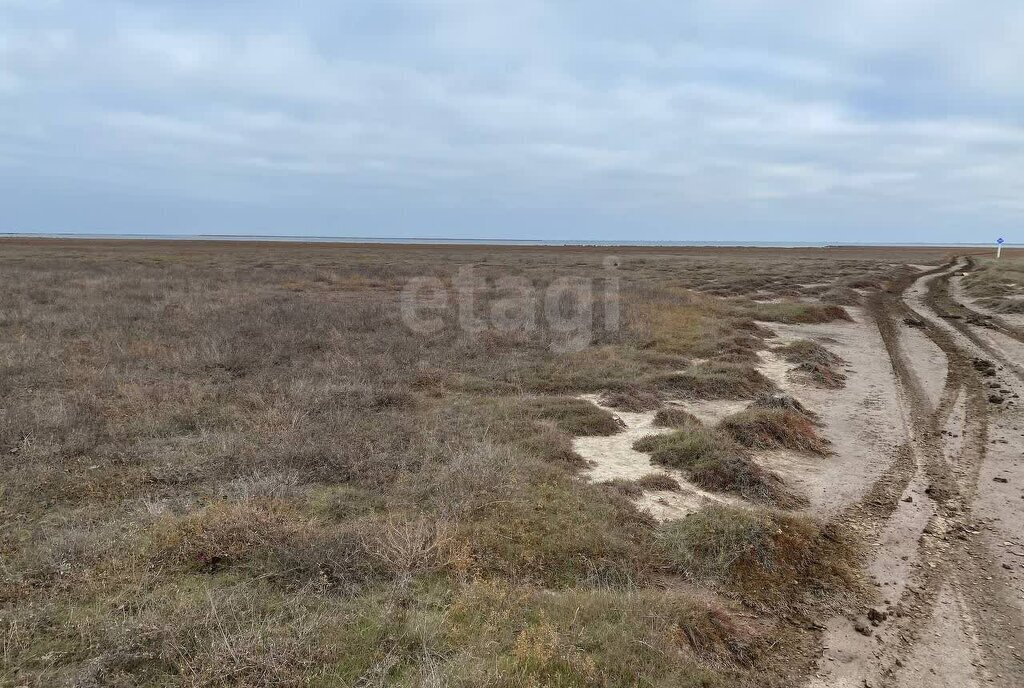 земля р-н Черноморский с Межводное ул Дружбы фото 4