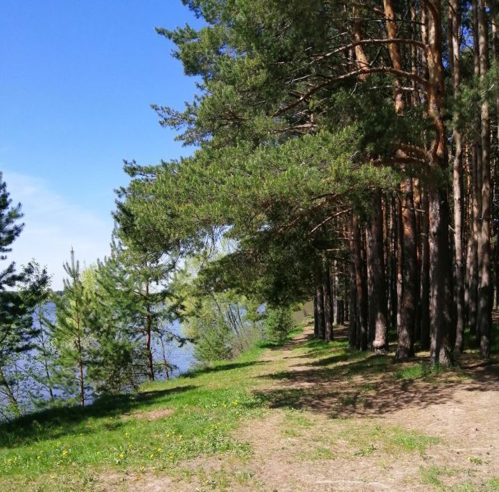 дом городской округ Можайский д Горетово ул Лесная фото 16