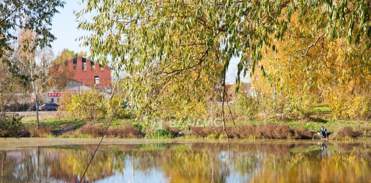 земля р-н Собинский с Бабаево ул Спасская фото 8