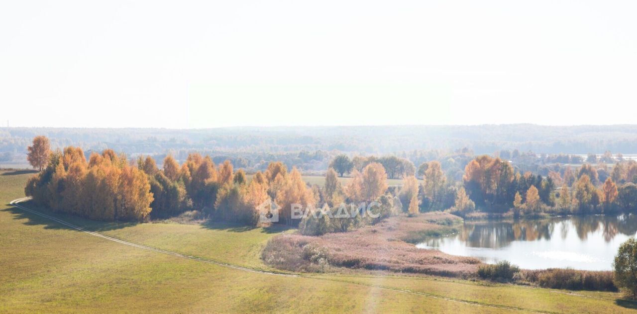 земля р-н Собинский с Бабаево ул Спасская фото 13