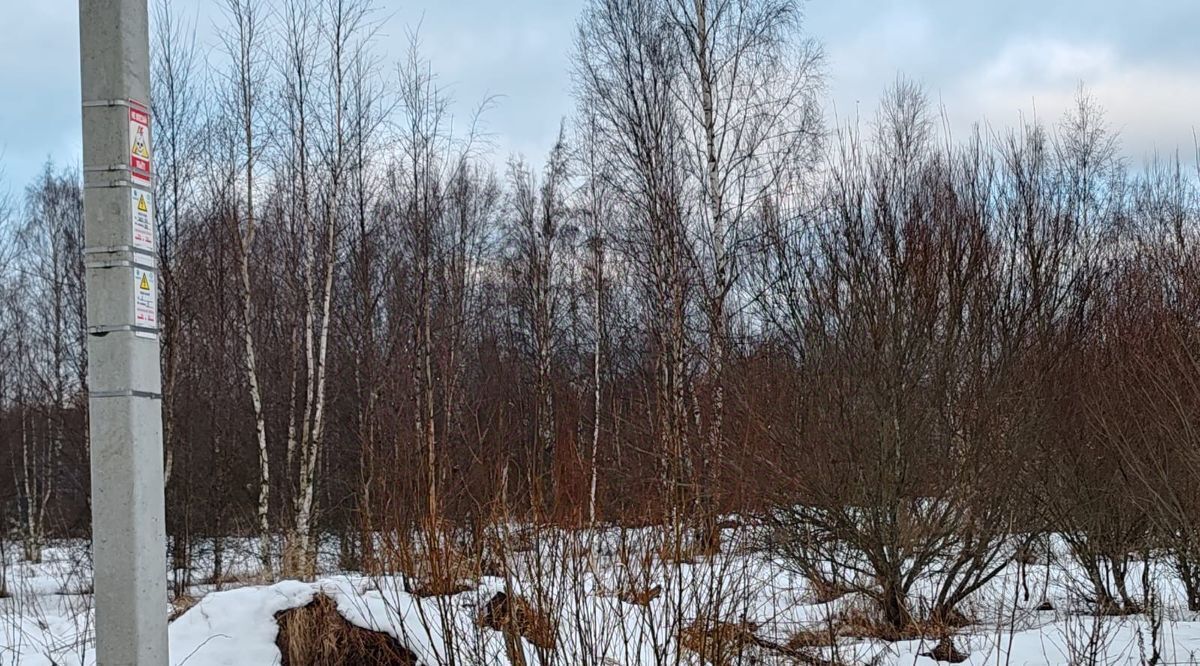 земля р-н Всеволожский снт Поляна Колтушское городское поселение фото 1