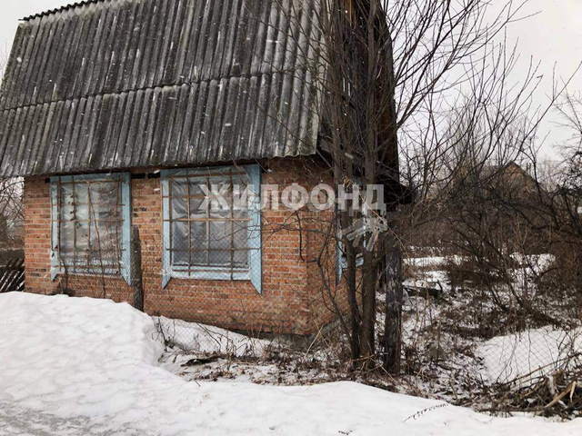 р-н Центральный Площадь Маркса, Дельфин территория снт фото