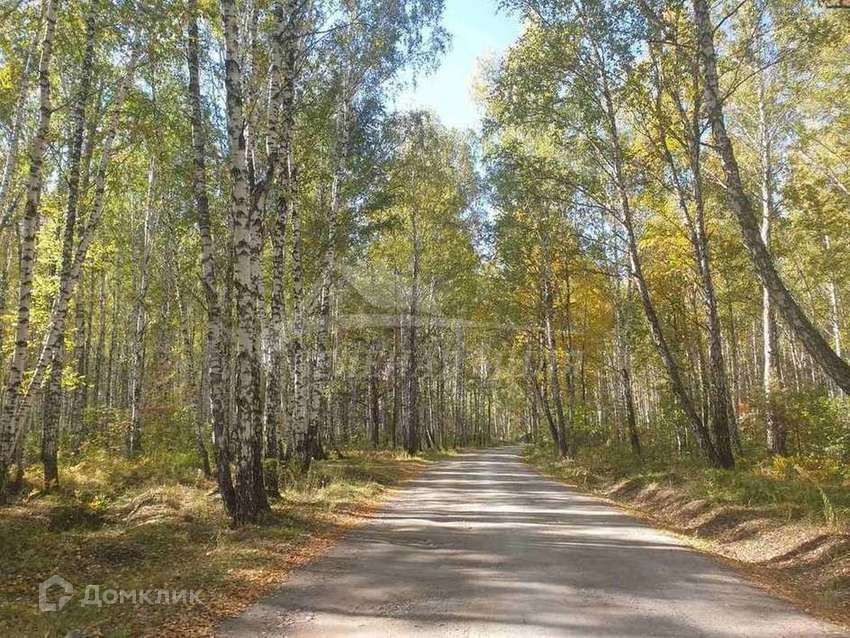 земля г Тюмень мкр Лесной городской округ Тюмень, массив Верхний Бор фото 2