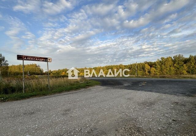 снт Александрия муниципальное образование Новоалександровское, Владимир фото