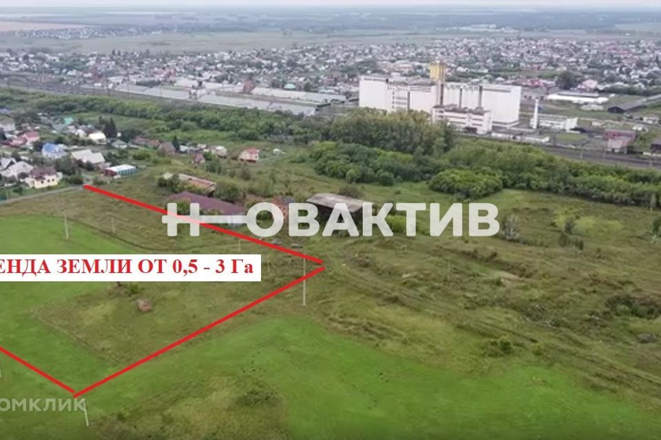 земля р-н Коченевский рп Чик ул Линейная 1з/1 фото 3