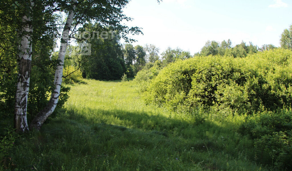 земля городской округ Богородский с Богослово фото 2