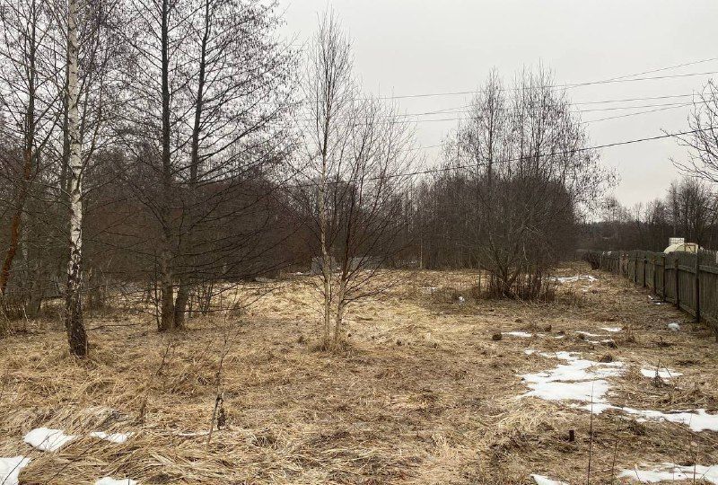 дом городской округ Талдомский г Талдом 101 км, д. Станки, Дмитровское шоссе фото 8