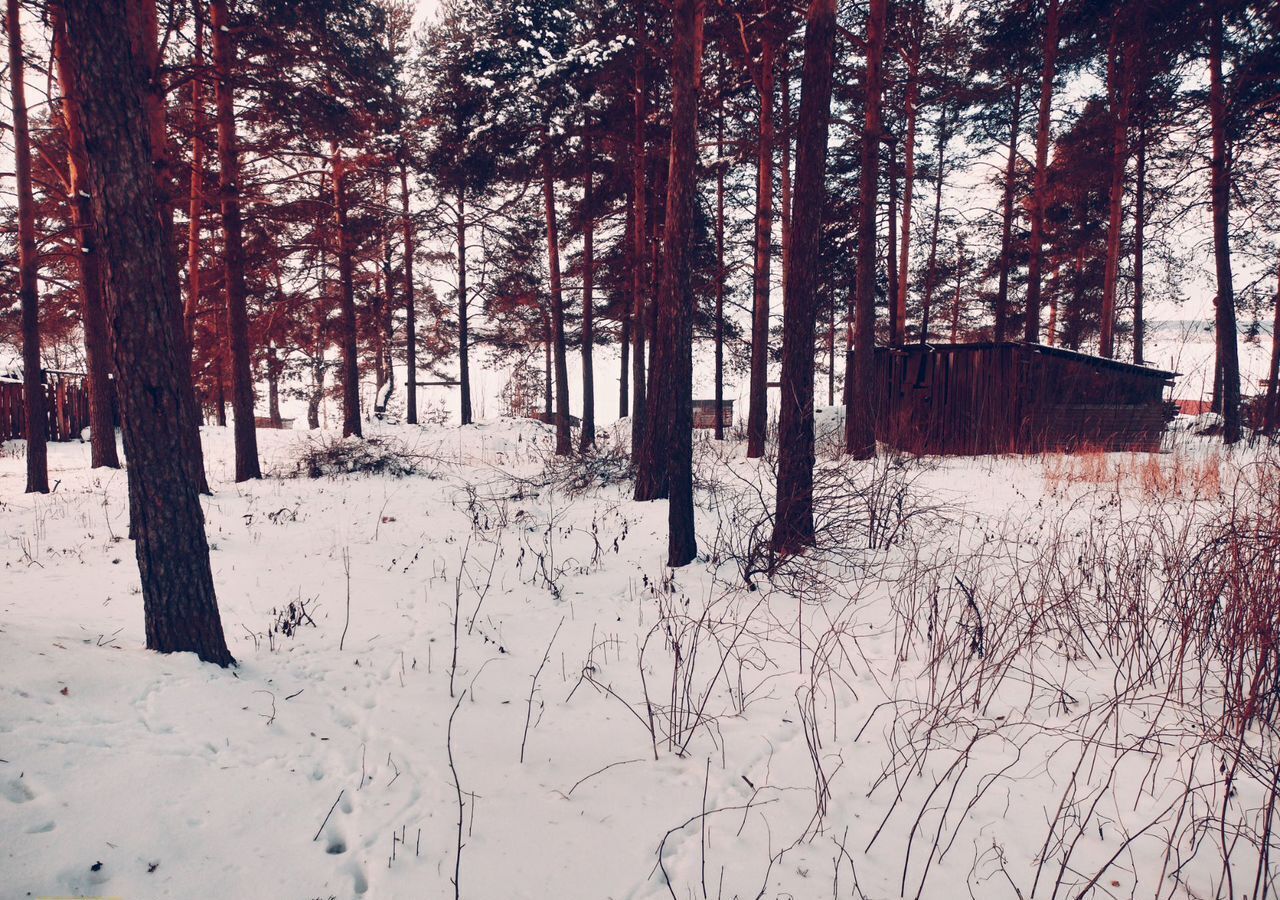 земля р-н Кондопожский г Кондопога Кондопожское городское поселение фото 7