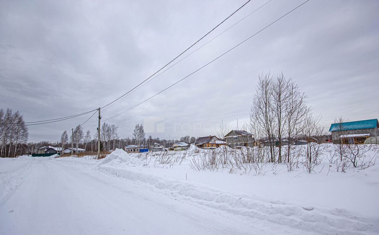 земля р-н Новосибирский п Двуречье Барышевский сельсовет, Барышево фото 8