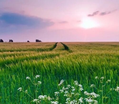 дом р-н Курский д Верхняя Медведица Нижнемедведицкий сельсовет, Курск фото 1