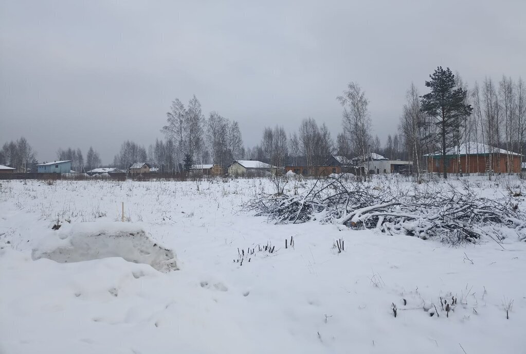 земля Колтушское городское поселение, коттеджный посёлок Мечта, Лютиковый проезд фото 9