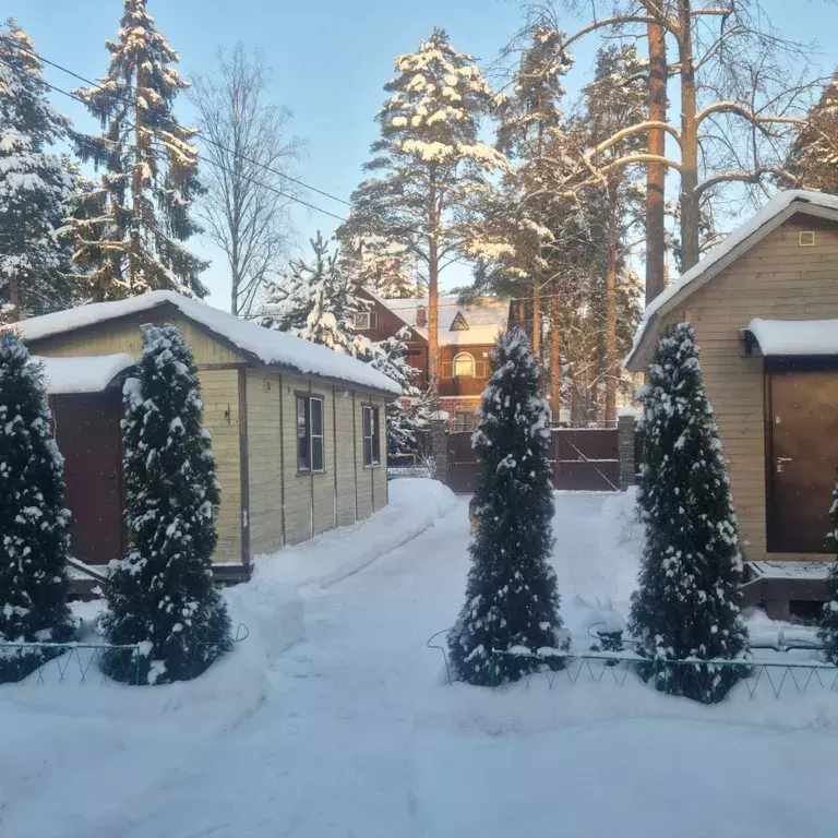 дом р-н Всеволожский п Песочный Новгородская улица, 15 фото 1