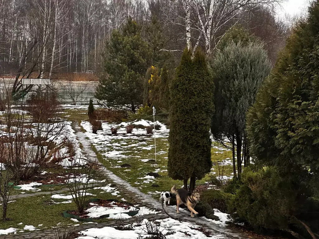 квартира городской округ Орехово-Зуевский д Кудыкино 118, Орехово-Зуево фото 3