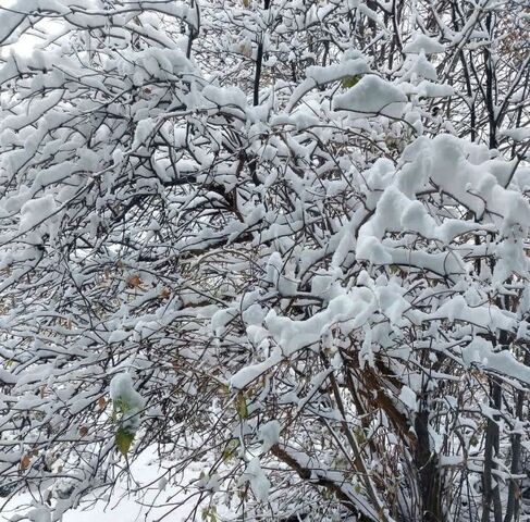 р-н Ленинский фото