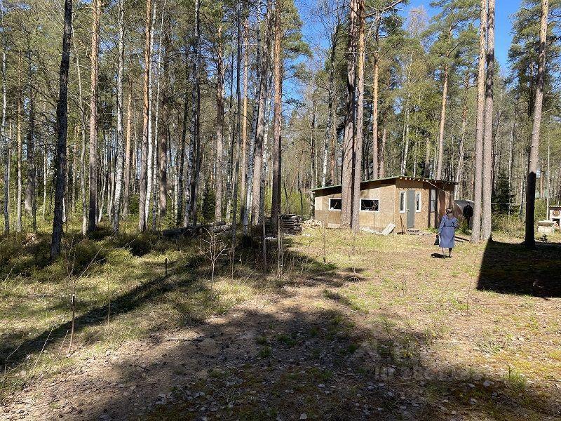 дом г Санкт-Петербург Полянское сельское поселение, СНТ «Новое Приветное», Улица Лисья, Ленинградская область фото 17