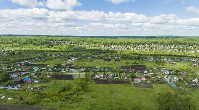 Репьевский сельсовет фото