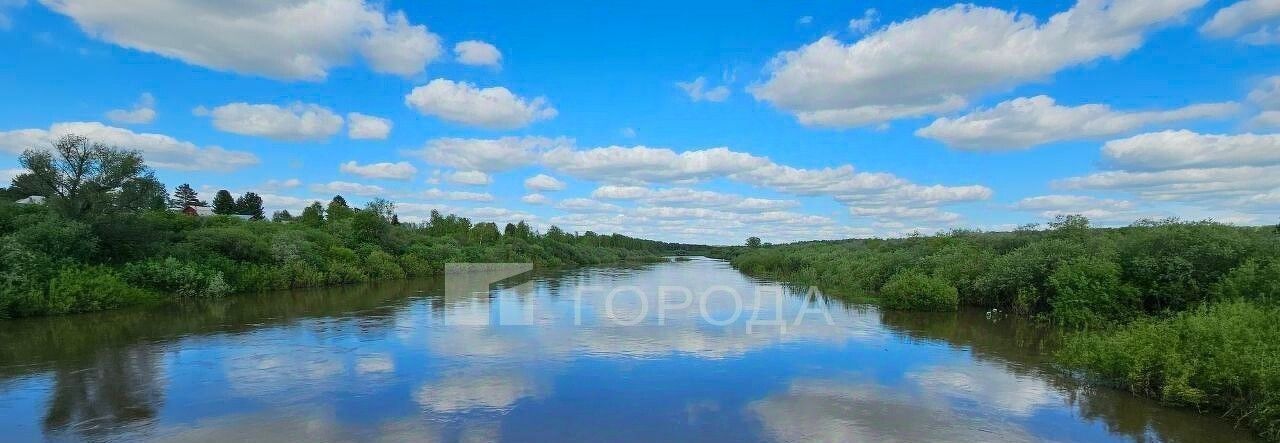 земля р-н Тогучинский с Репьево ул Инская Репьевский сельсовет фото 31