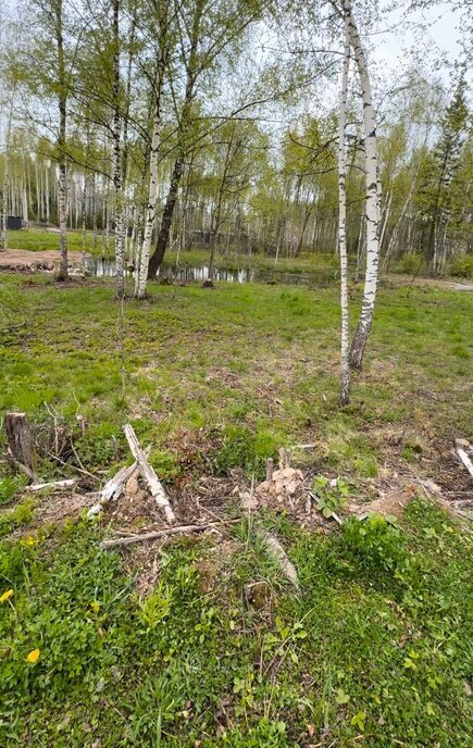 земля городской округ Дмитровский д Шадрино коттеджный посёлок Шадрино, 99 фото 1