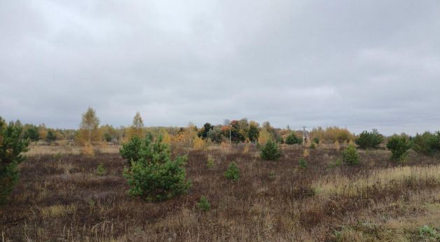 д Свиридоново ул Зеленая Коломна городской округ фото