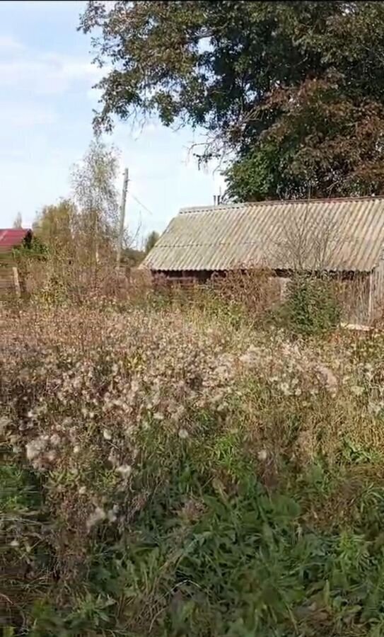 дом р-н Костромской д Шемякино Шунгенское сельское поселение, 41, Кострома фото 9